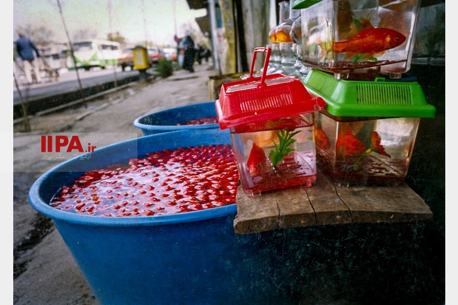 تهران، سال 1374