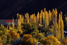  طبیعت پاییزی الموت