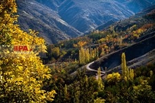   طبیعت پاییزی الموت