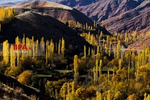 طبیعت پاییزی الموت