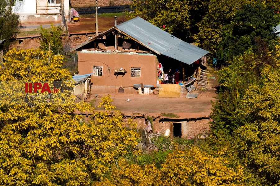   طبیعت پاییزی الموت
