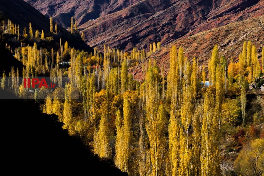   طبیعت پاییزی الموت