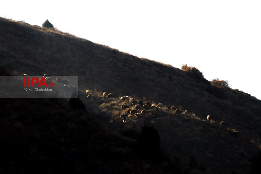   طبیعت پاییزی الموت