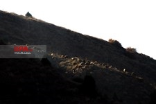   طبیعت پاییزی الموت