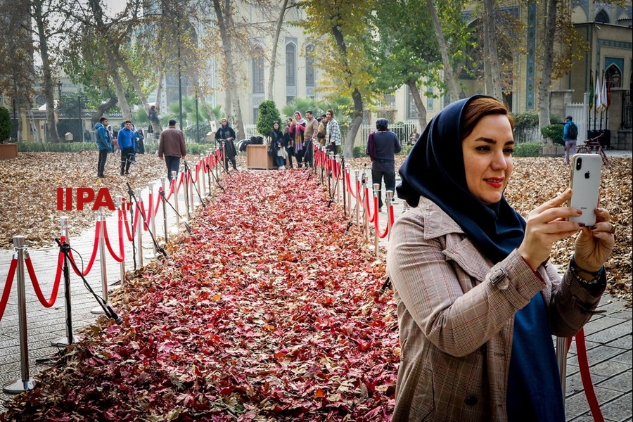   جشنواره پاییز برگ
