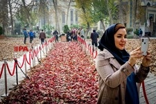   جشنواره پاییز برگ
