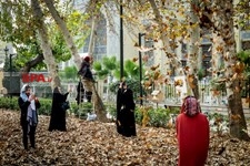   جشنواره پاییز برگ
