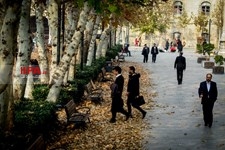   جشنواره پاییز برگ