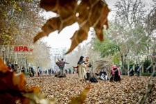   جشنواره پاییز برگ