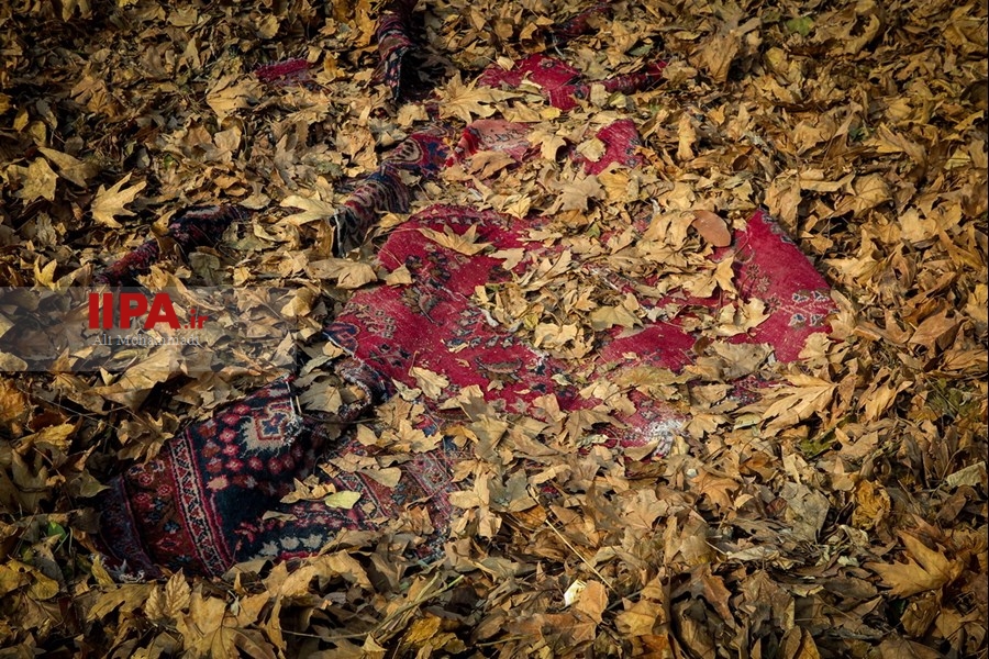   جشنواره پاییز برگ
