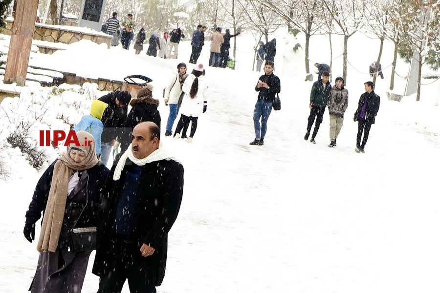  بارش برف زمستانی در تهران
