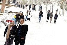   بارش برف زمستانی در تهران