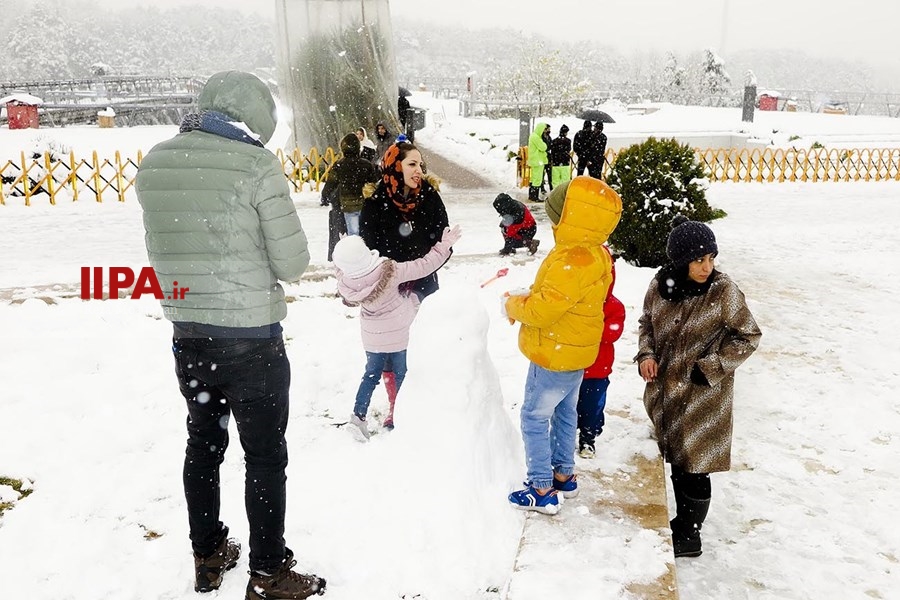   بارش برف زمستانی در تهران