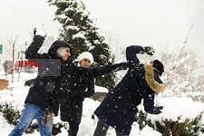   بارش برف زمستانی در تهران