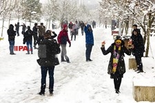   بارش برف زمستانی در تهران