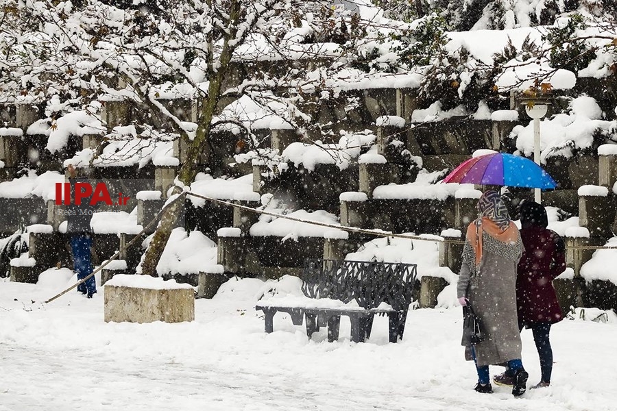   بارش برف زمستانی در تهران