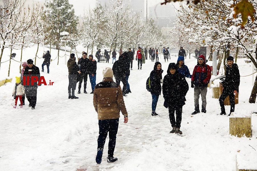   بارش برف زمستانی در تهران