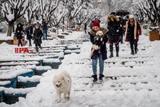   بارش برف زمستانی در تهران 2