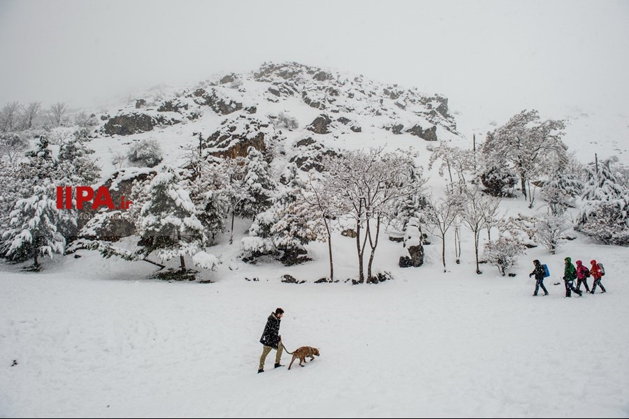   بارش برف زمستانی در تهران 2
