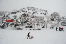   بارش برف زمستانی در تهران 2
