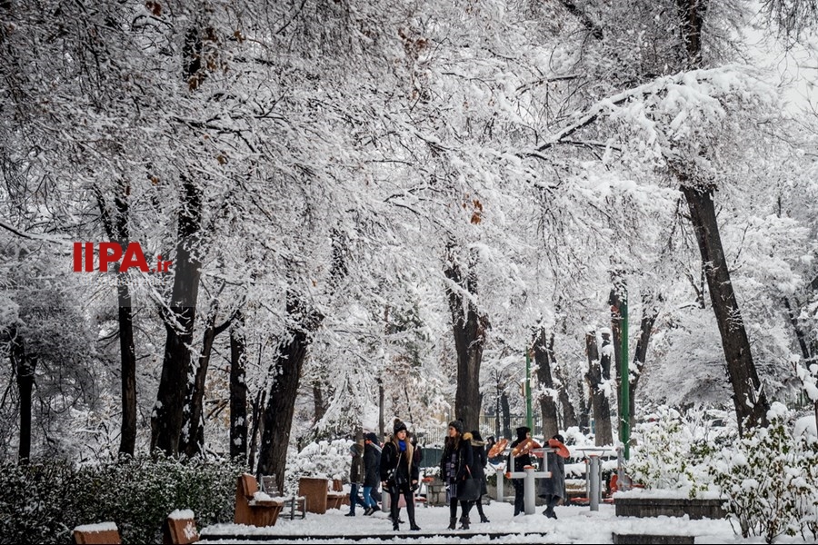   بارش برف زمستانی در تهران 2