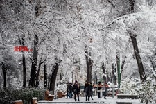  بارش برف زمستانی در تهران 2
