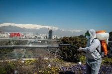   گندزدایی از پل طبیعت