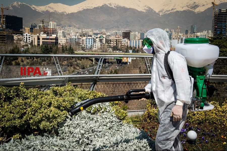   گندزدایی از پل طبیعت