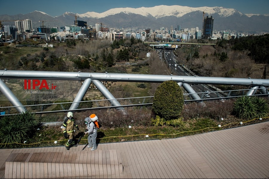   گندزدایی از پل طبیعت
