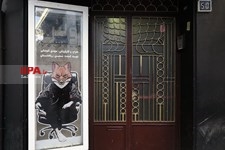   تعطیلی تماشاخانه های تهران
