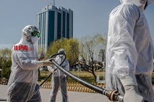  گندزدایی از پل طبیعت