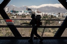   گندزدایی از پل طبیعت