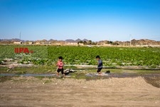   آنسوی گرما در قلعه گنج