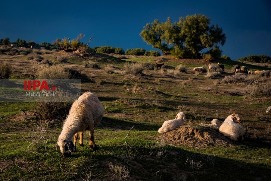   آنسوی گرما در قلعه گنج