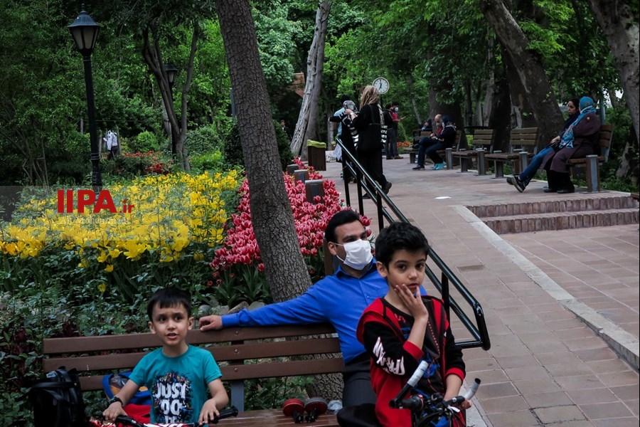   لاله های زیبای باغ ایرانی 