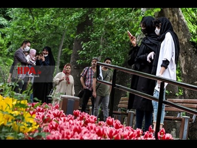 لاله های زیبای باغ ایرانی