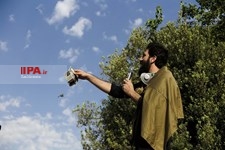   تئاتر خیابانی من ، تو، ما تئاتر، زندگی ، کرونا‎