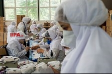   کارگاه تولید ماسک