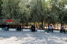   برگزاری آزمون سراسری سال 99 در رشته علوم تجربی 