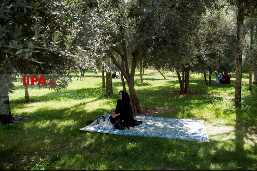   برگزاری آزمون سراسری سال 99 در رشته علوم تجربی 