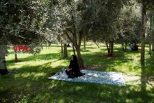  برگزاری آزمون سراسری سال 99 در رشته علوم تجربی 