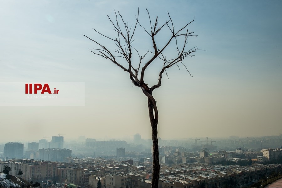   آلودگی هوای تهران