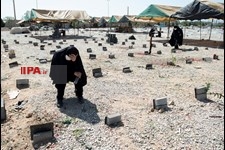   بهشت زهرای تهران در دوران موج چهارم کرونا