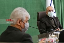  مراسم تجلیل رئیس مجلس از مدال آوران المپیک