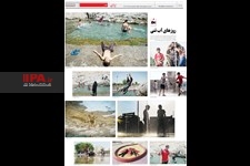   صفحه عکس