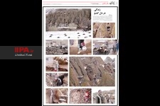   صفحه عکس