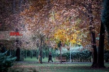   پاییز در تهران 