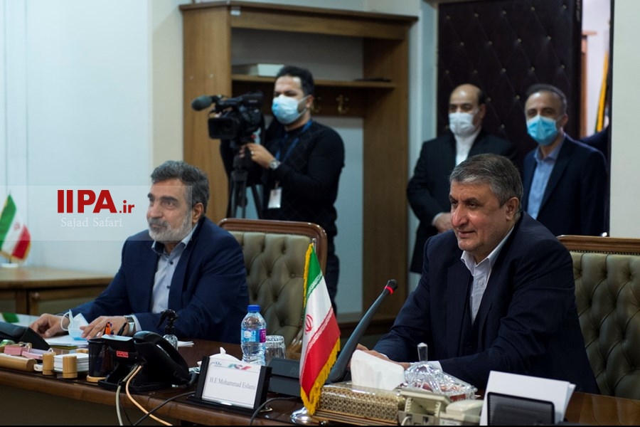   دیدار مدیرکل آژانس بین المللی انرژی اتمی با محمد اسلامی 