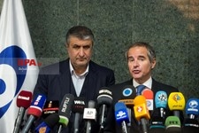   دیدار مدیرکل آژانس بین المللی انرژی اتمی با محمد اسلامی 