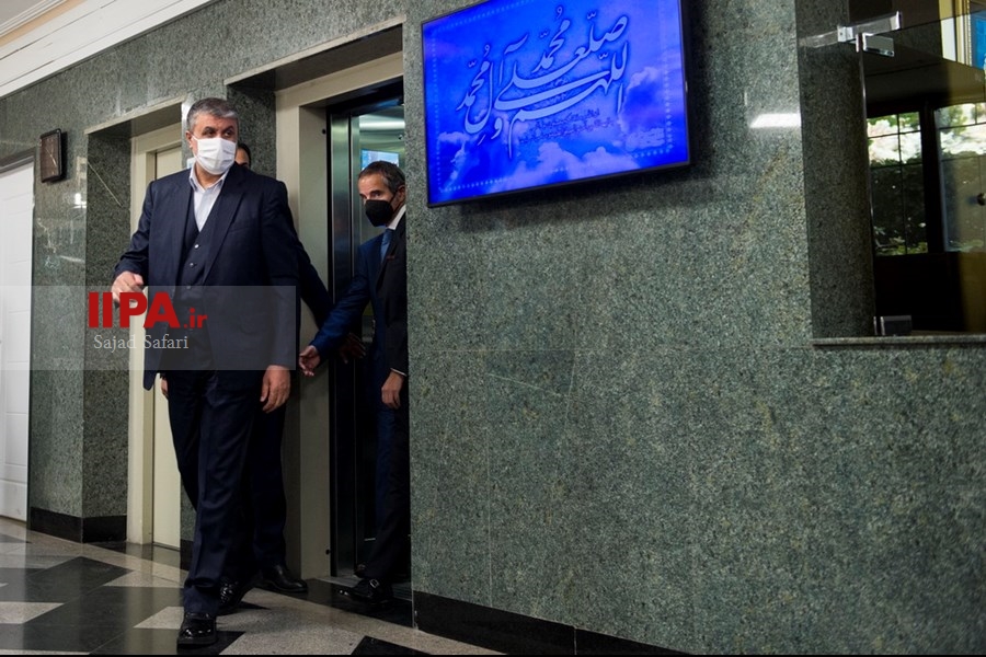   دیدار مدیرکل آژانس بین المللی انرژی اتمی با محمد اسلامی 